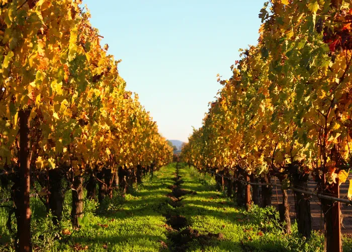 day trips from san francisco